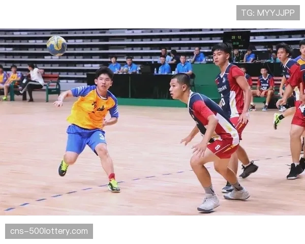 手球运动装备线上销售额在2025年第四季度同比增长18%